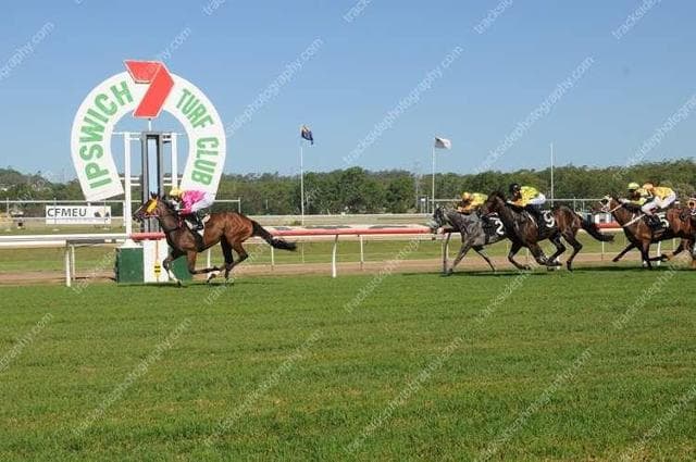 Pegapus back to number 1!