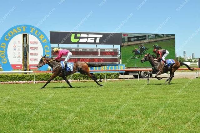 Perilous Love proves too good!