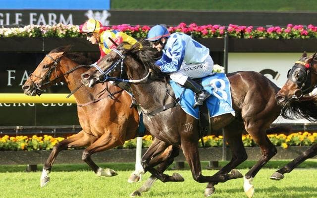 Blacklog scores again at Eagle Farm