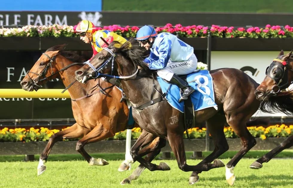 Blacklog scores again at Eagle Farm